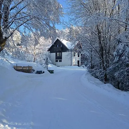 Kocia Górka *