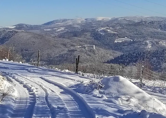 Apartment Kocia Gorka *