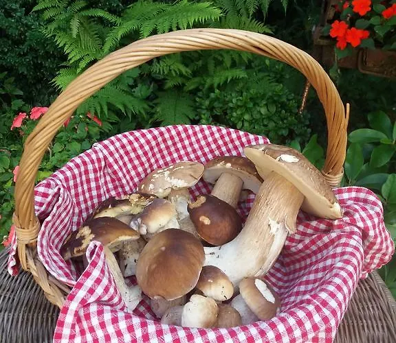 Apartment Kocia Gorka